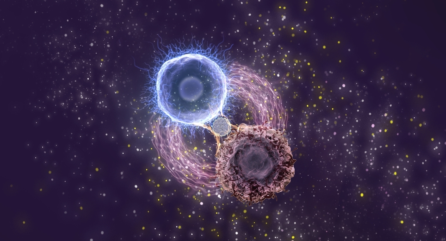 过程工程所创新仿生策略助力CAR T细胞治疗白血病