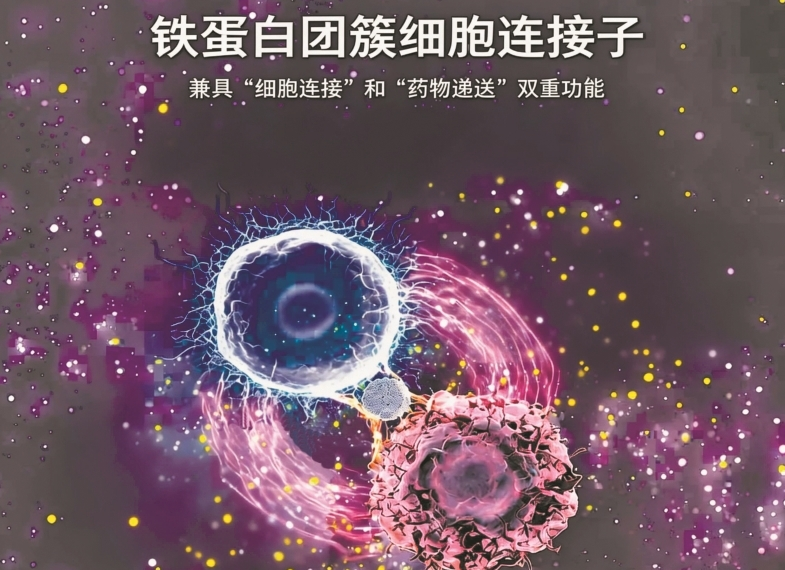 “精准导弹”治疗白血病威力倍增